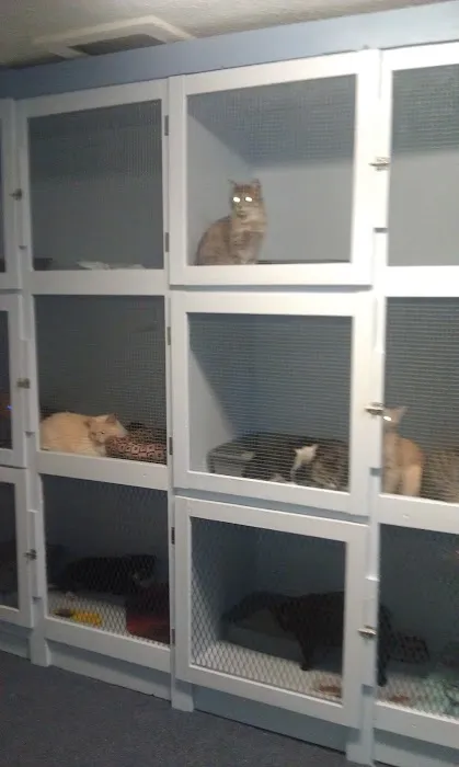 Paws N Claws Cottages 9