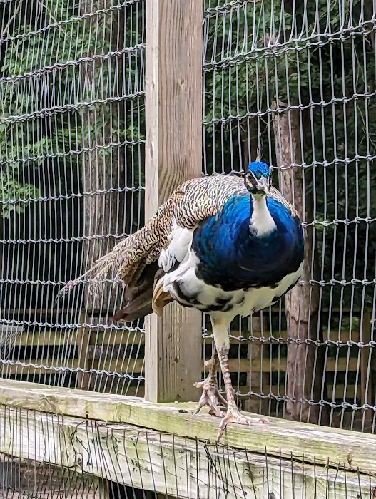 Lake Somerset Family Campground 0
