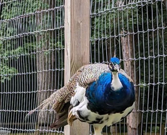 Lake Somerset Family Campground