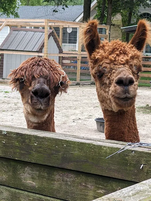 Lake Somerset Family Campground 9