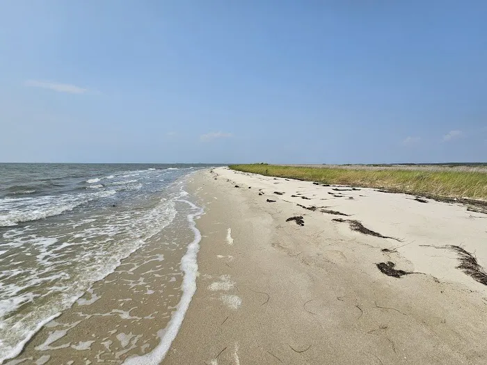 Janes Island State Park 9