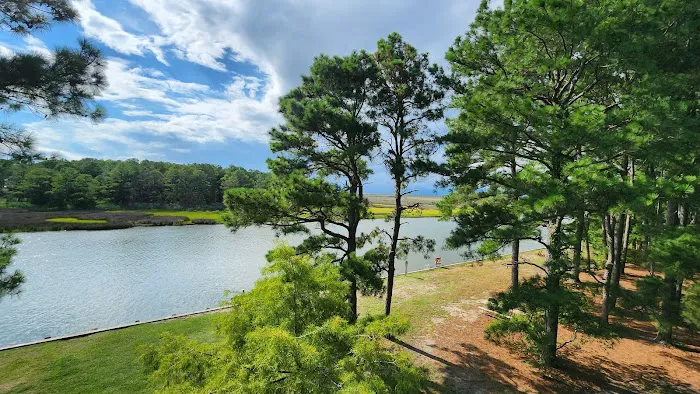 Janes Island State Park 8