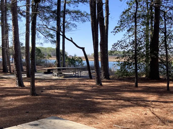 Janes Island State Park 6