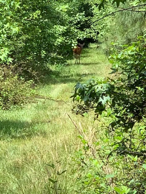 La Grand e RV Park Rentals 8