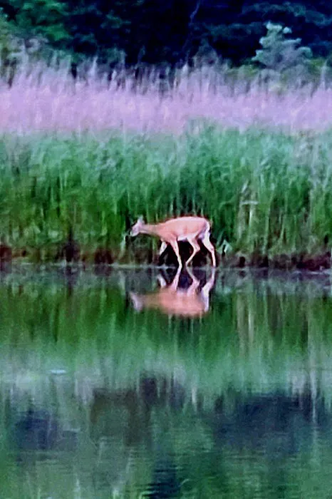 Port Tobacco RV Resort 3