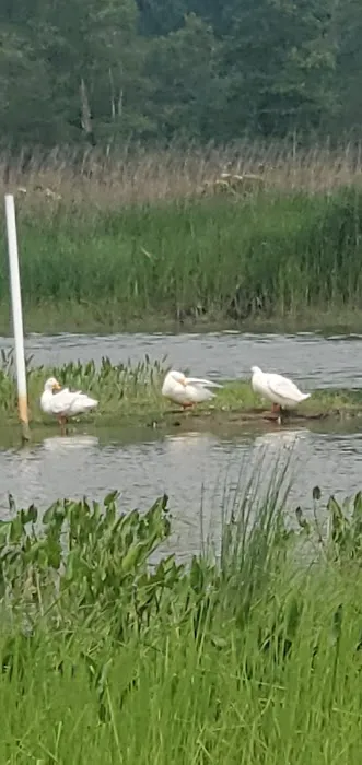 Port Tobacco RV Resort 2