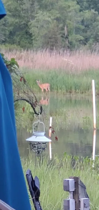 Port Tobacco RV Resort 7