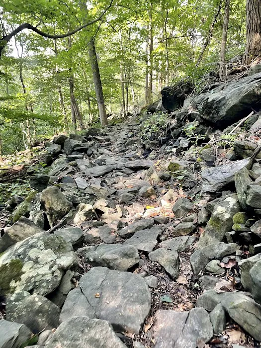 Hollofield Campground 8