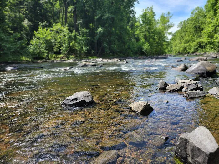 Hollofield Campground 6
