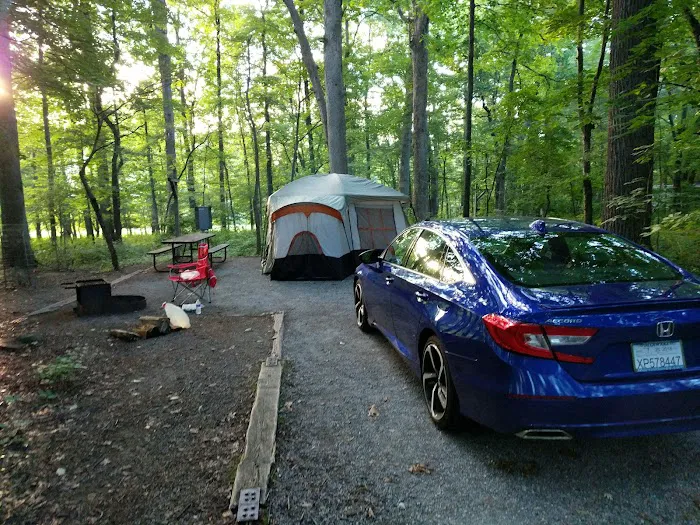 Hollofield Campground 5