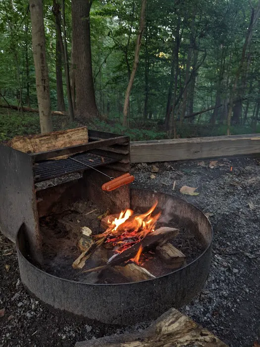 Hollofield Campground 7