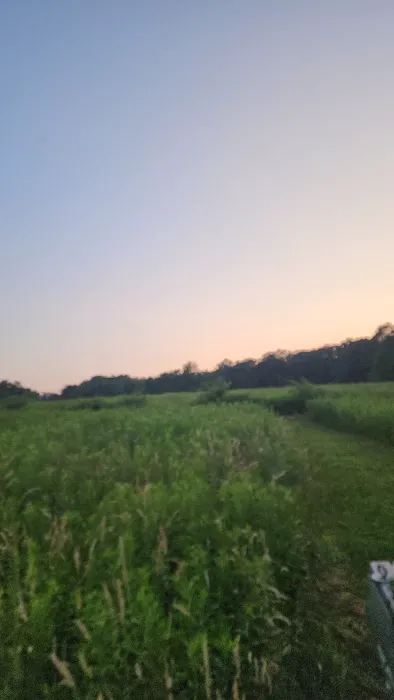 Hillside Haven Campground 7