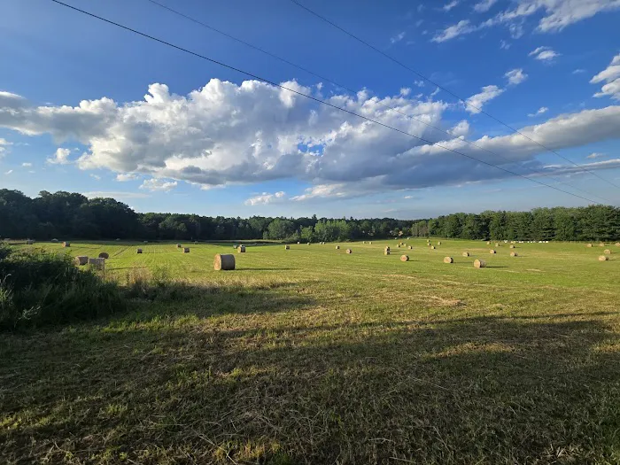 Hillside Haven Campground 9