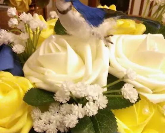 Shady Lane Community, Inc.