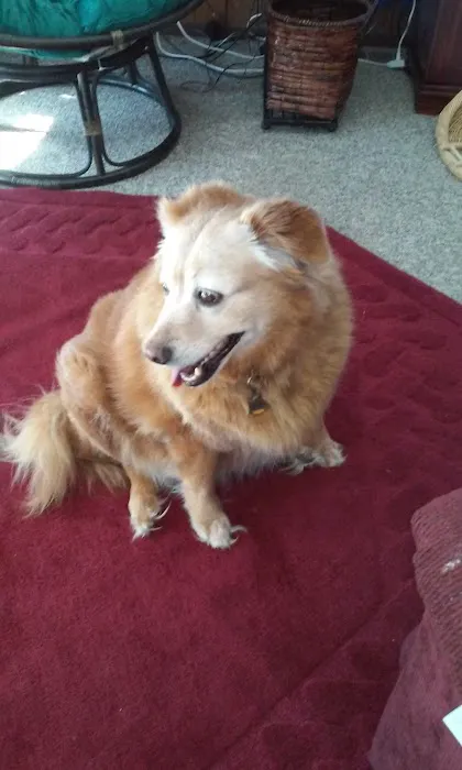 Floral Mobile Home Park 1