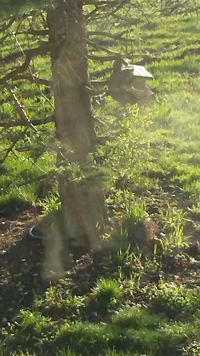 Stoneybrook Mobile Terrace 6