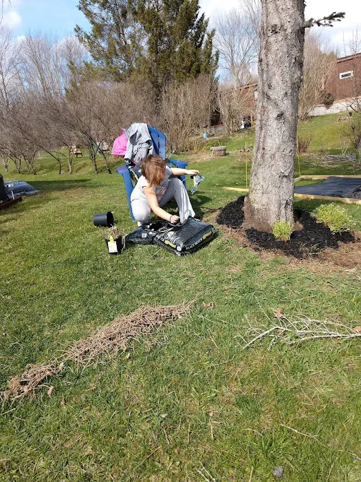 Stoneybrook Mobile Terrace 8