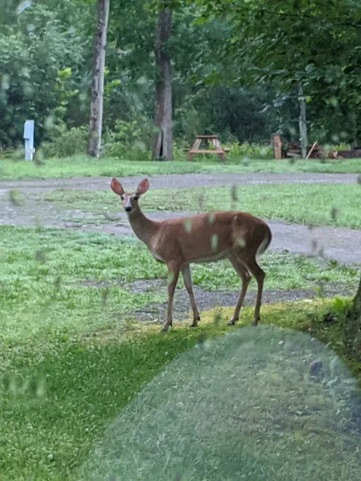 Rock Ledge Campground and RV Park 1