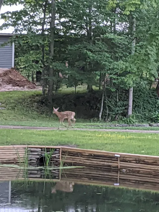 Rock Ledge Campground and RV Park 0