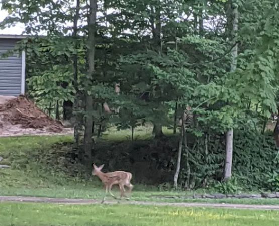 Rock Ledge Campground and RV Park