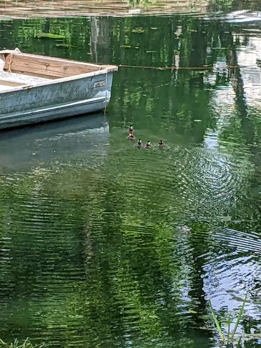 Rock Ledge Campground and RV Park 3