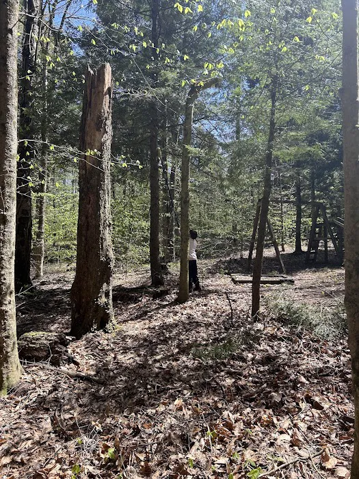 Carterville Acres Campground 4