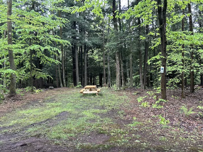 Carterville Acres Campground 9