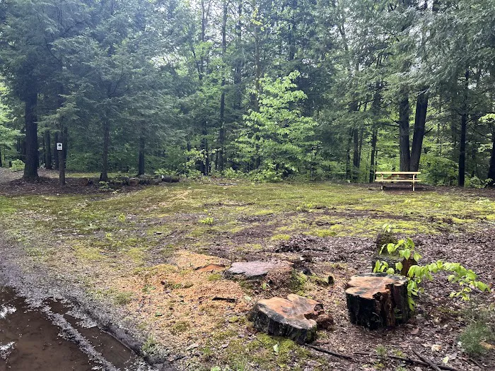 Carterville Acres Campground 8