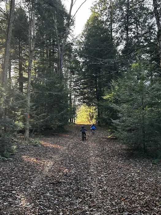 Carterville Acres Campground 2