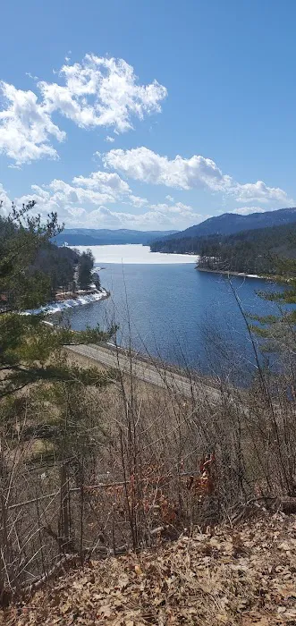 Stewarts Pond Campsites 4