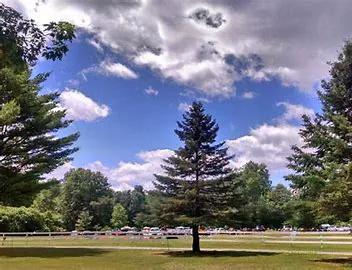 Coldbrook Resort Campground 0