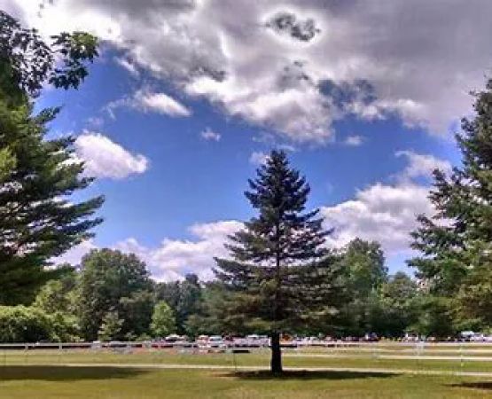 Coldbrook Resort Campground