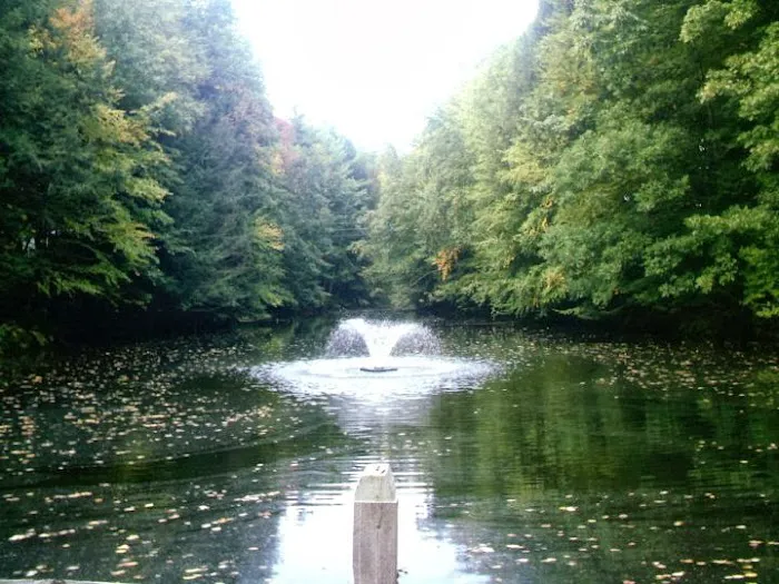 Coldbrook Resort Campground 8