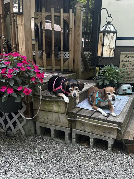 Coldbrook Resort Campground 5