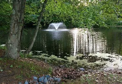 Coldbrook Resort Campground 2