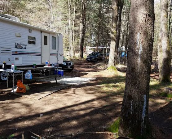 Cold Brook Campsites