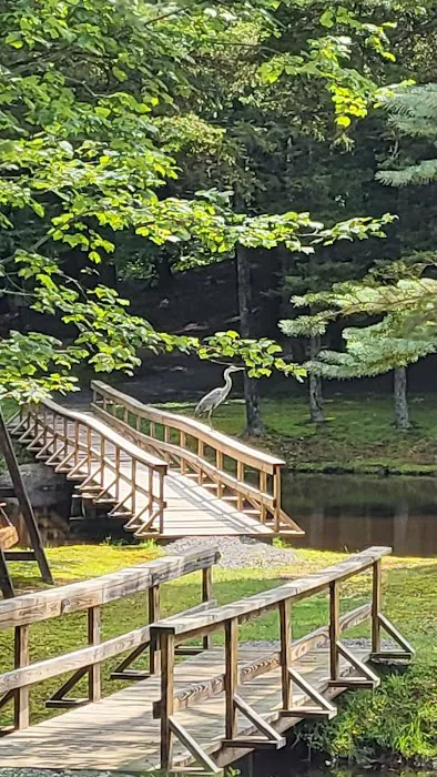 Cold Brook Campsites 4