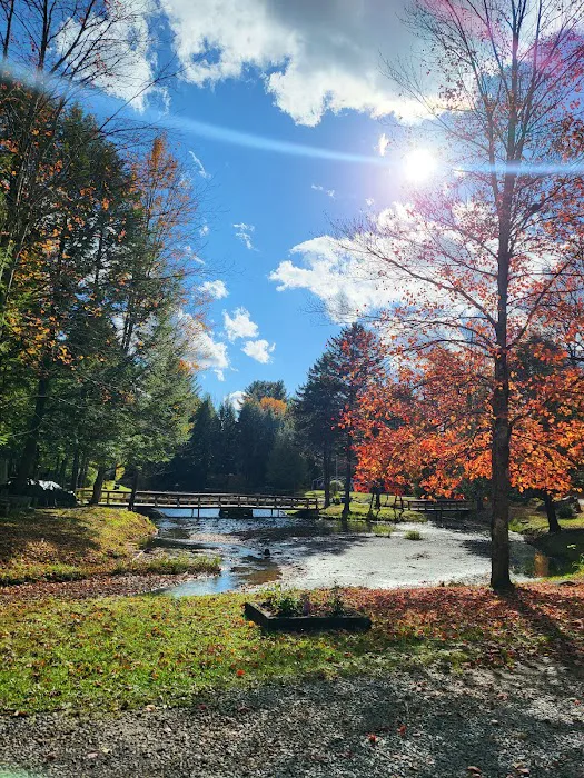 Cold Brook Campsites 6