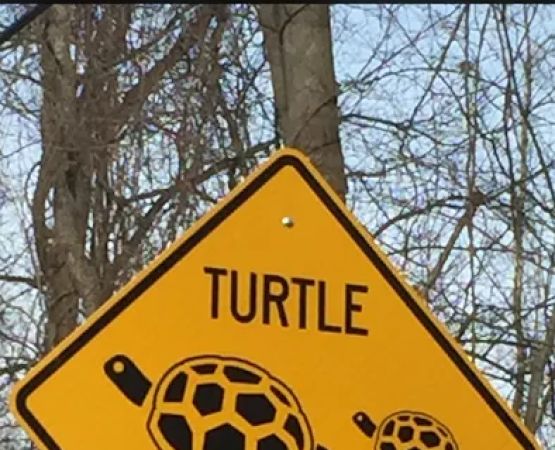 Moose River Park LLC