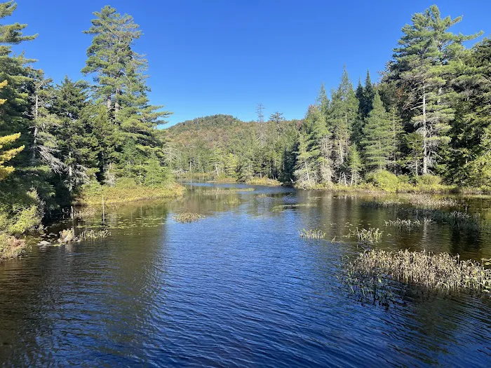 Nicks Lake Campground 8
