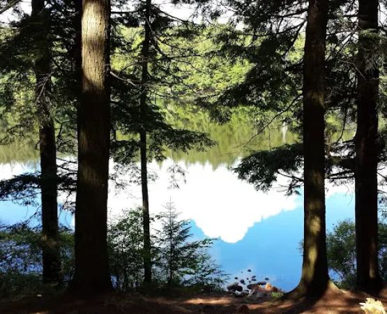 Nicks Lake Campground