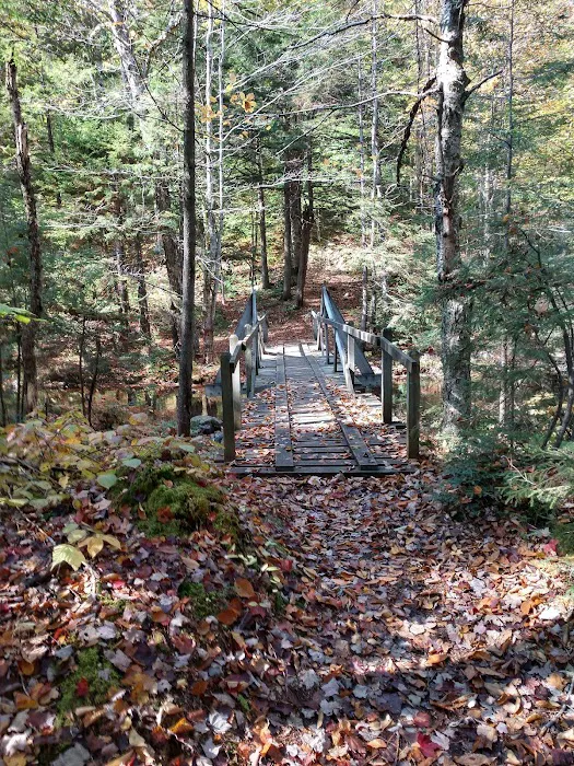 Nicks Lake Campground 5