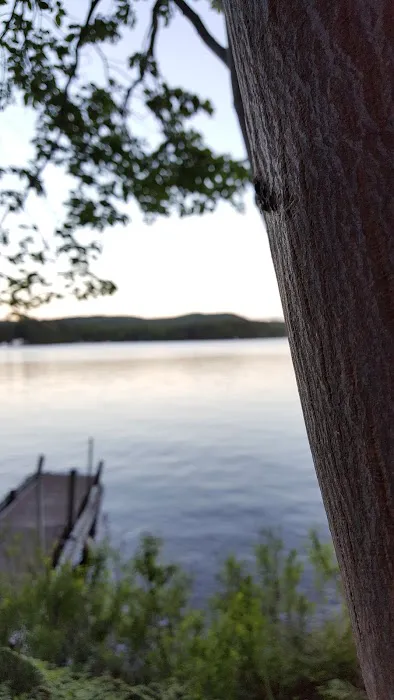 Bald Mountain Colony 7