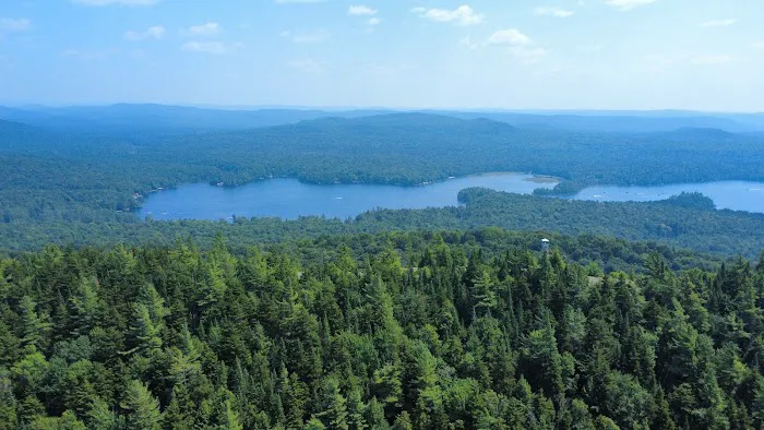 Bald Mountain Colony 8