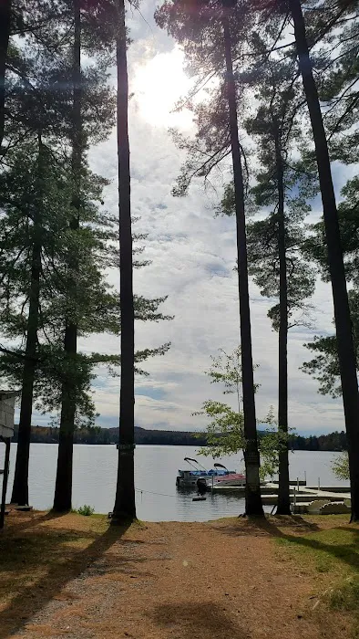 Bald Mountain Colony 3