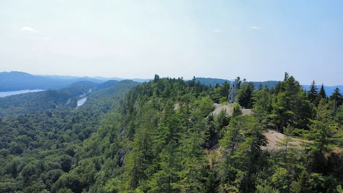 Bald Mountain Colony 5