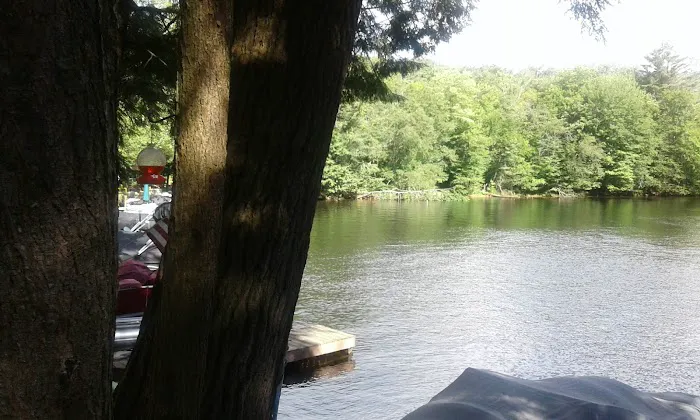 Bald Mountain Colony 4