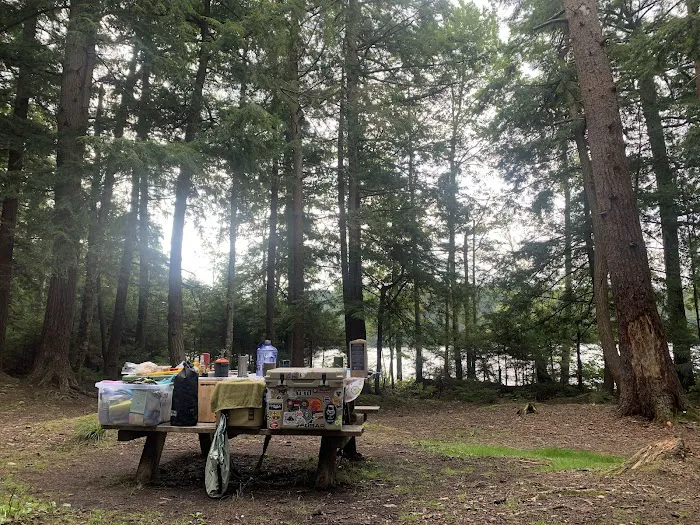 Alger Island Campground 6