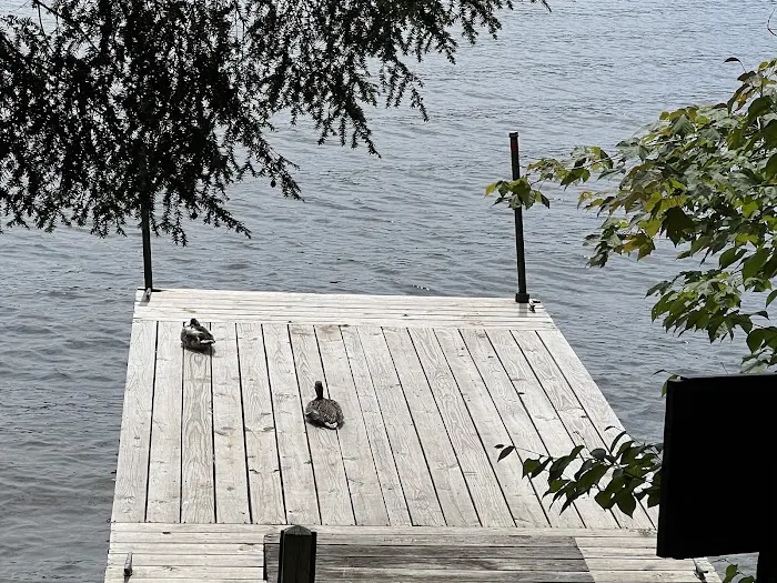 Alger Island Campground 4