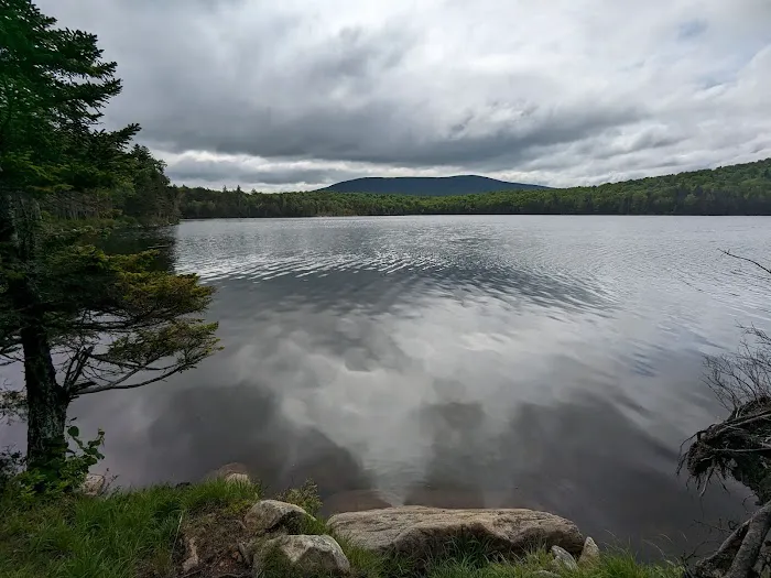 Stratton Pond Tenting Area 3